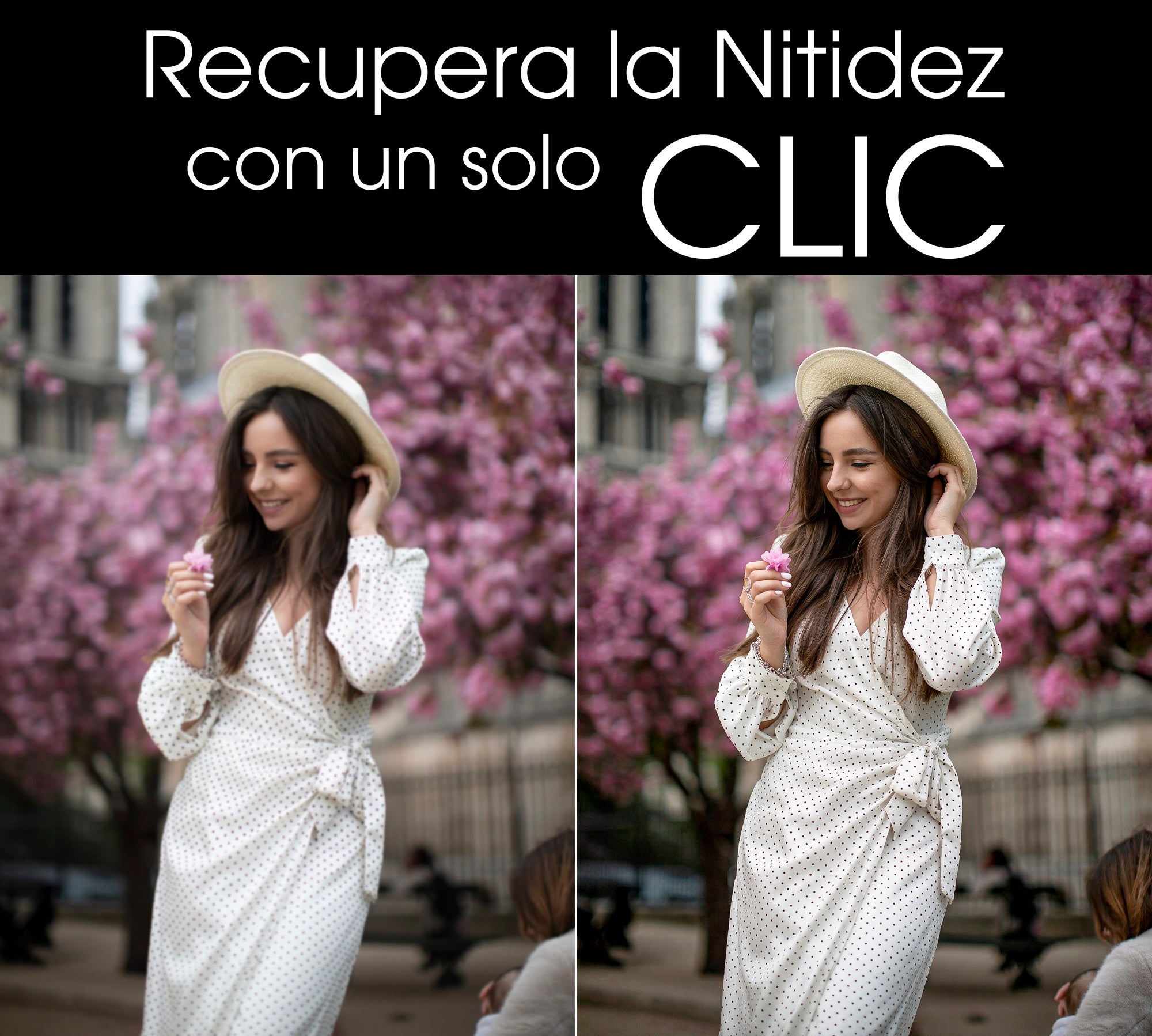 Cargar video: 
